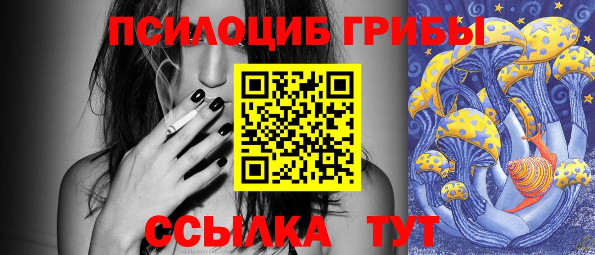 Псилоцибиновые грибы GOLDEN TEACHER  Вход с VPN  Тамбов 