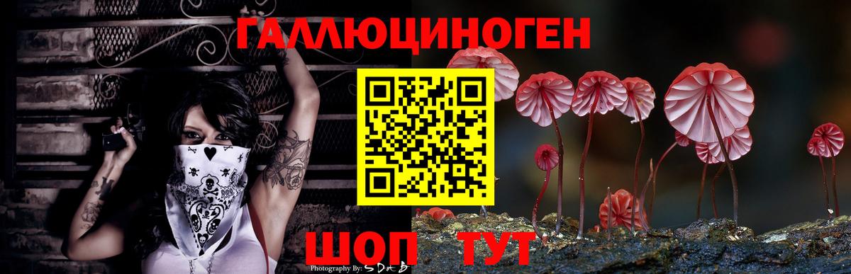 Галлюциногенные грибы прущие грибы Тамбов